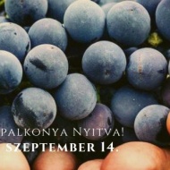 Szüreti Nyitott Pincék 2018 Palkonya Szüreti Nyitott Pincék 2018 Palkonya