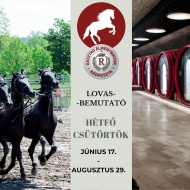 Rádpuszta lovas program 2019. Rádi lovasdélután a Gasztro Élménybirtokon Rádpuszta lovas program 2019. Rádi lovasdélután a Gasztro Élménybirtokon