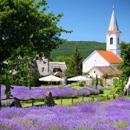 Levendula Napok 2019 Dörgicse Levendula Napok 2019 Dörgicse