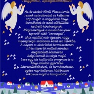 Nagykörű termelői piac 2019 Nagykörű termelői piac 2019