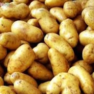 Heti piac Vésztő Heti piac Vésztő