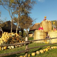 Őrségi Tökfesztivál 2018 Őrségi Tökfesztivál 2018