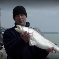Balatonakali horgászversenyek 2018 Balatonakali horgászversenyek 2018