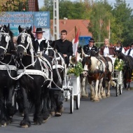 Gödi Szüreti Lovasfesztivál 2019 Gödi Szüreti Lovasfesztivál 2019