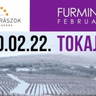 Furmint Február Tokaj 2020 Furmint Február Tokaj 2020