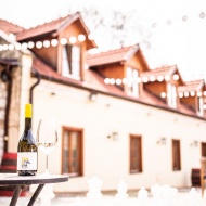 Csapatépítés bortúrával Tokaj-hegyalján, céges program a meseszép Zemplénben