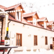 Csapatépítés bortúrával Tokaj-hegyalján, céges program a meseszép Zemplénben Csapatépítés bortúrával Tokaj-hegyalján, céges program a meseszép Zemplénben