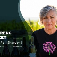 Borkóstoló Budapest 2025. Csillagok és Bikavérek kóstolója Tóth Katalin vezetésével a Winehubban