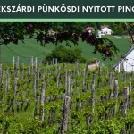 Szekszárdi Nyitott Pincék 2022 Szekszárdi Nyitott Pincék 2022
