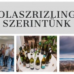 Olaszrizling Szerintünk 2023 Csopak Olaszrizling Szerintünk 2023 Csopak
