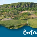Kéknyelű zsendülés 2022. Bortriatlon II. állomása Kéknyelű zsendülés 2022. Bortriatlon II. állomása