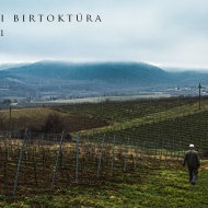 Balatoni borkóstoló program 2023. Borbirtok élménytúra kirándulás a Sarki Róka Borbirtokon Balatoni borkóstoló program 2023. Borbirtok élménytúra kirándulás a Sarki Róka Borbirtokon