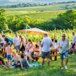 Bortúra Móron, We Love Mór outdoor rendezvény az Öreg Prés Butikhotel szervezésében Bortúra Móron, We Love Mór outdoor rendezvény az Öreg Prés Butikhotel szervezésében