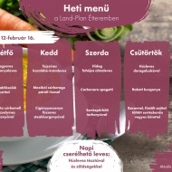 Heti menü Győrben a Land-Plan Étteremben Heti menü Győrben a Land-Plan Étteremben