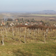 Falunap Borgáta 2022. Borgátai Vigadozás Falunap Borgáta 2022. Borgátai Vigadozás