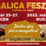 Debreceni Mangalica Fesztivál 2020 Debreceni Mangalica Fesztivál 2020