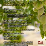 Mandulaszüret 2023 Balatonakali Mandulaszüret 2023 Balatonakali