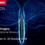 World Press Photo kiállítás Budapest 2019. Fotókiállítás a Nemzeti Múzeumban World Press Photo kiállítás Budapest 2019. Fotókiállítás a Nemzeti Múzeumban