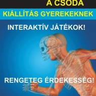 Lajosmizse kiállítások 2020 Lajosmizse kiállítások 2020
