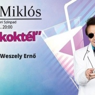 Fenyő Miklós koncert a Budapesti Nyári Fesztiválon Fenyő Miklós koncert a Budapesti Nyári Fesztiválon