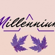 Millenniumi Kávéház és Klub programok Szeged 2019 Millenniumi Kávéház és Klub programok Szeged 2019