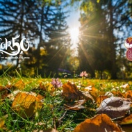 Nyitott Balaton programok Siófok 2019 Nyitott Balaton programok Siófok 2019