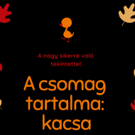 A csomag tartalma: kacsa, bábjáték 3 éven felülieknek a Figurina Bábszínházban A csomag tartalma: kacsa, bábjáték 3 éven felülieknek a Figurina Bábszínházban