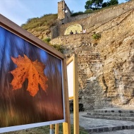 Szenttamási Napok Esztergom 2021 Szenttamási Napok Esztergom 2021