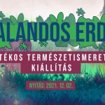 Természetismereti kiállítás gyerekeknek Budapesten a Természettudományi Múzeumban Természetismereti kiállítás gyerekeknek Budapesten a Természettudományi Múzeumban