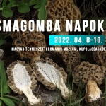 Gombakiállítás Budapest 2021. Őszi Gombafesztivál a Magyar Természettudományi Múzeumban Gombakiállítás Budapest 2021. Őszi Gombafesztivál a Magyar Természettudományi Múzeumban