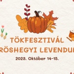 Kőröshegyi levendulás koncertek 2020. Online jegyvásárlás Kőröshegyi levendulás koncertek 2020. Online jegyvásárlás