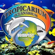 Tropicarium programok 2019 Budapest Tropicarium programok 2019 Budapest