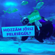 Tropicarium tengeri akvárium, budapesti különleges esküvő helyszín