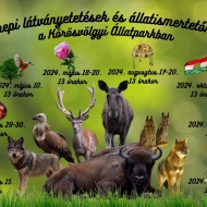 Állatkerti Halloween 2023. Halloween este a túzokok földjén Állatkerti Halloween 2023. Halloween este a túzokok földjén