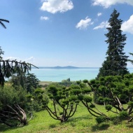Folly Arborétum és Borászat program 2019 Folly Arborétum és Borászat program 2019