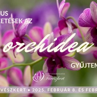 Tematikus szakvezetés 2023. Az orchidea gyűjtemény bemutatása Szegeden a Füvészkertben Tematikus szakvezetés 2023. Az orchidea gyűjtemény bemutatása Szegeden a Füvészkertben
