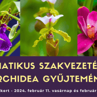 Tematikus szakvezetések az orchidea gyűjteményben