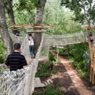 Kalandnyaralás a Tisza-tónál, fakultatív Kalandsziget látogatással és wellnesszel a Balneum Hotelben Kalandnyaralás a Tisza-tónál, fakultatív Kalandsziget látogatással és wellnesszel a Balneum Hotelben