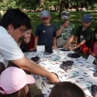 Balatoni ingyenes programok gyerekeknek a Balaton-felvidéki Nemzeti Parkban