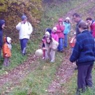 Tökös Délután Bakonybél 2018 Tökös Délután Bakonybél 2018