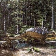 Dinoszaurusz leletek Magyarországon, nyílt napok és szervezett kirándulás szállással Iharkútra Dinoszaurusz leletek Magyarországon, nyílt napok és szervezett kirándulás szállással Iharkútra