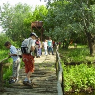 2 napos osztálykirándulás a Tisza-tóhoz, a poroszlói Tisza-tavi Ökocentrum szervezésében 2 napos osztálykirándulás a Tisza-tóhoz, a poroszlói Tisza-tavi Ökocentrum szervezésében