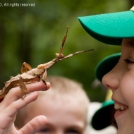 Zoo-Suli nyári táborok a Nyíregyházi Állatparkban Zoo-Suli nyári táborok a Nyíregyházi Állatparkban