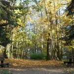 Madarak és Fák Napja Zircen, vezetett séta az Arborétumban Madarak és Fák Napja Zircen, vezetett séta az Arborétumban
