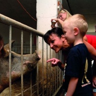 Malac simogatás, farmlátogatás és történelmi kalandpark állatos programokkal a Garabonciás Farmon Malac simogatás, farmlátogatás és történelmi kalandpark állatos programokkal a Garabonciás Farmon