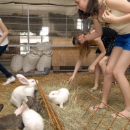 Zalakarosi kirándulás ekhós szekérrel a 7 Vezér Történelmi Kalandparkba és Garabonciás Farmra Zalakarosi kirándulás ekhós szekérrel a 7 Vezér Történelmi Kalandparkba és Garabonciás Farmra
