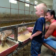 Garabonciás Kalandpark és Farm tematikus programokkal, tehénfejéssel, állatbehajtással, etetésekkel Garabonciás Kalandpark és Farm tematikus programokkal, tehénfejéssel, állatbehajtással, etetésekkel