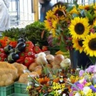 Termelői piac Csobánkán Termelői piac Csobánkán