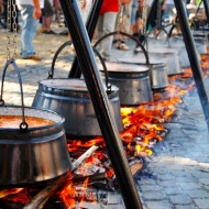 Bajai Halfőző Fesztivál 2019 Bajai Halfőző Fesztivál 2019