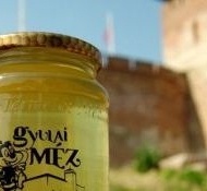 Gyulai méz tematikus túra Gyulai méz tematikus túra